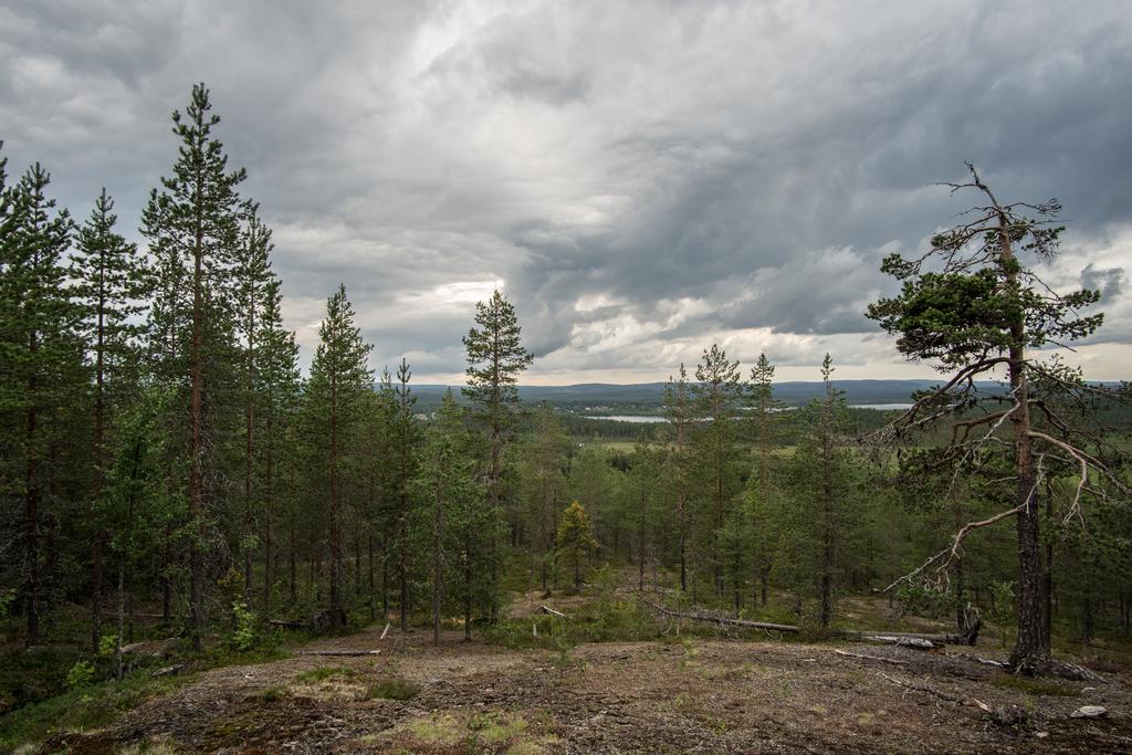 Pellon Helmi Holiday Cottages エクステリア 写真